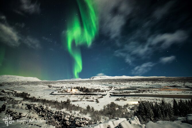 Golden Circle, Secret Lagoon and Northern Lights Tour - A very full day from Reykjavík