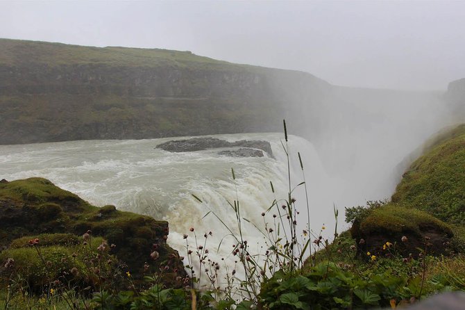 Golden Circle & Secret Lagoon & Friðheimar (lunch included) - PRIVATE TOUR - Friðheimar, lunch among geothermal tomatoes
