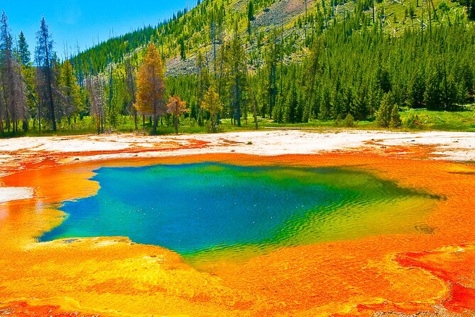 Guided Yellowstone Hot Spring & Geyser Basin Tour - A full day with Yellowstone’s hottest sights