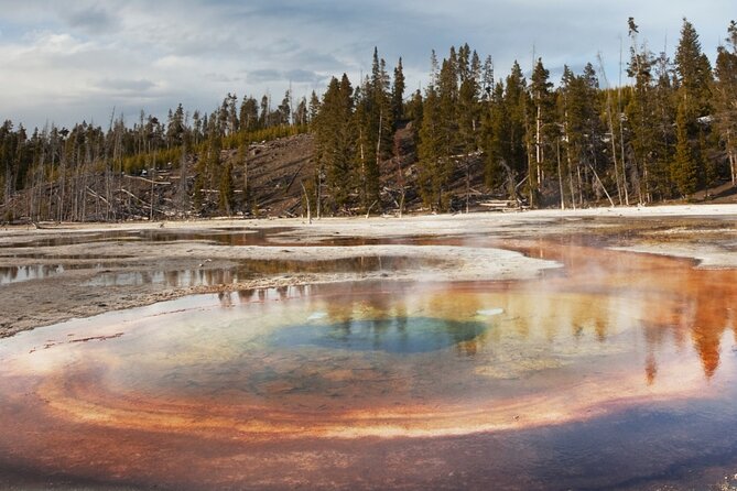 Guided Yellowstone Hot Spring & Geyser Basin Tour - Mud Volcano shows Yellowstone at its roughest