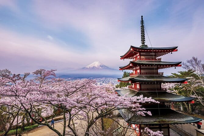 Hakone Private Tour: Onsen, Lake Ashi Cruise & Mt. Fuji Views - What Happens When Weather Changes the Plan