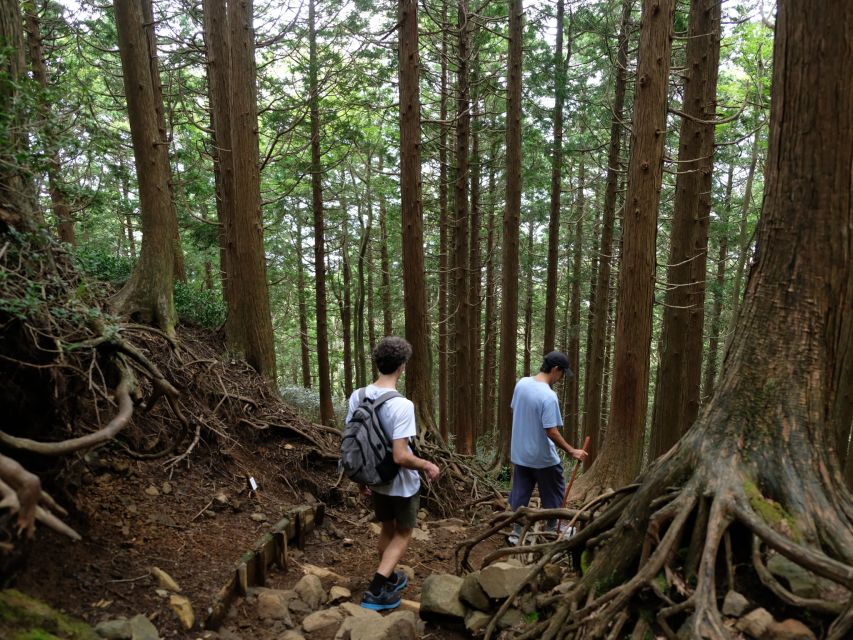 Hakone: Traverse the Hakone Caldera and Enjoy Onsen - What Aki adds to the day