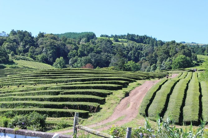 Half Day Furnas And Hot Springs - What the small group changes