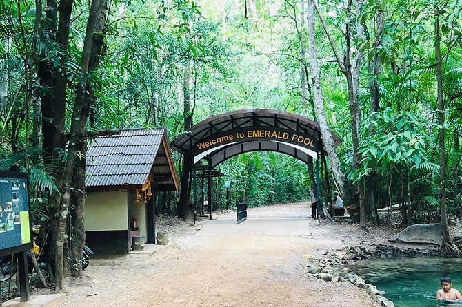 Half Day Jungle Tour to Emerald pool and Krabi Hot Spring - Crowds, heat, and the real pace of the day