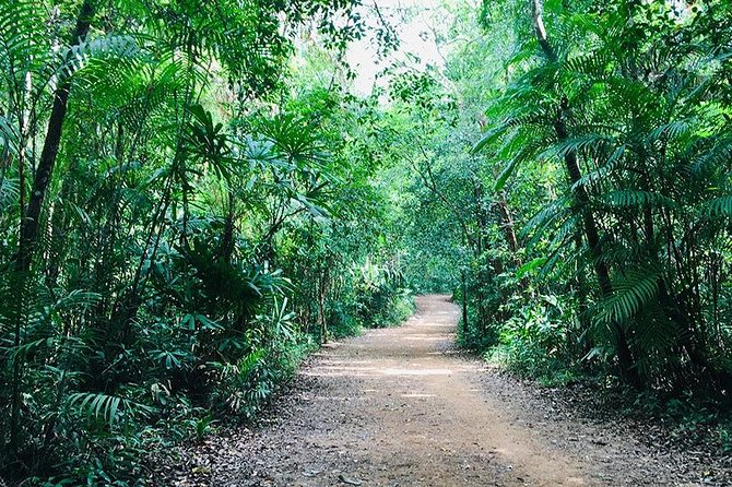 Half Day Jungle Tour to Emerald pool and Krabi Hot Spring - FAQ