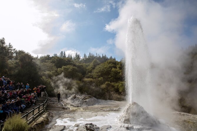 Half-Day Tour - Ex Rotorua: WAI-O-TAPU Thermal Wonderland - The drive to Wai-O-Tapu