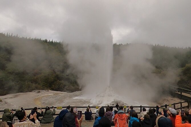 Half-Day Tour - Ex Rotorua: WAI-O-TAPU Thermal Wonderland - Lady Knox Geyser and the morning timing