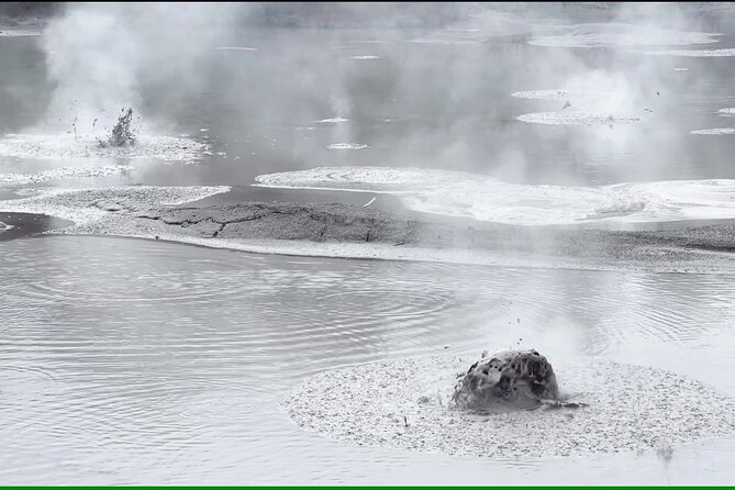 Half-Day Tour - Ex Rotorua: WAI-O-TAPU Thermal Wonderland - The Wai-O-Tapu Mud Pool