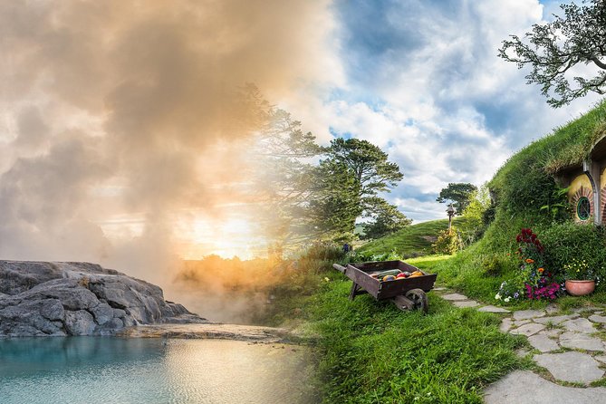 Hells Gate Geothermal, Mud & Sulphur Spa - The Redwoods: towering trees and a change of pace