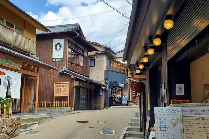 Himeji Castle, Arima Onsen & Mt. Rokko: 1-Day Bus Tour from Osaka - Himeji Castle gives the day its purpose