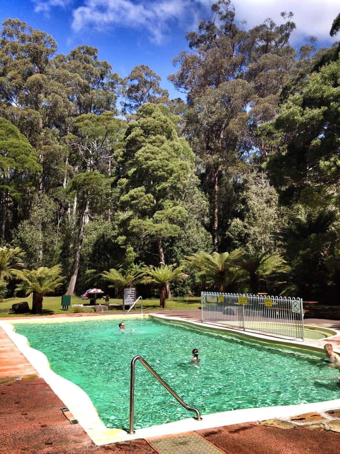 Hobart: Tahune Airwalk, Hastings Cave, Thermal Springs Tour - Leaving Hobart for the Huon Valley