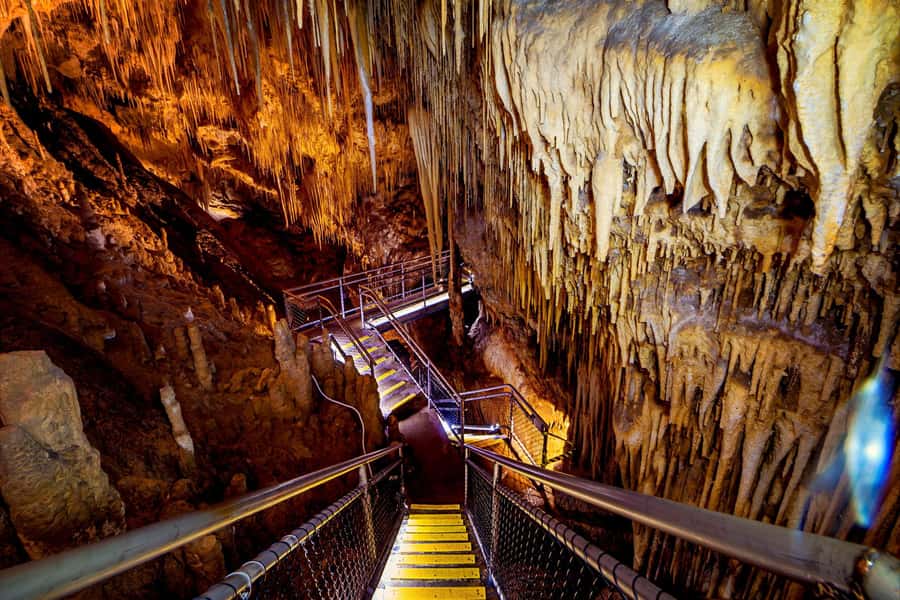 Hobart: Tahune Airwalk, Hastings Cave, Thermal Springs Tour - Swinging bridges over the Huon River