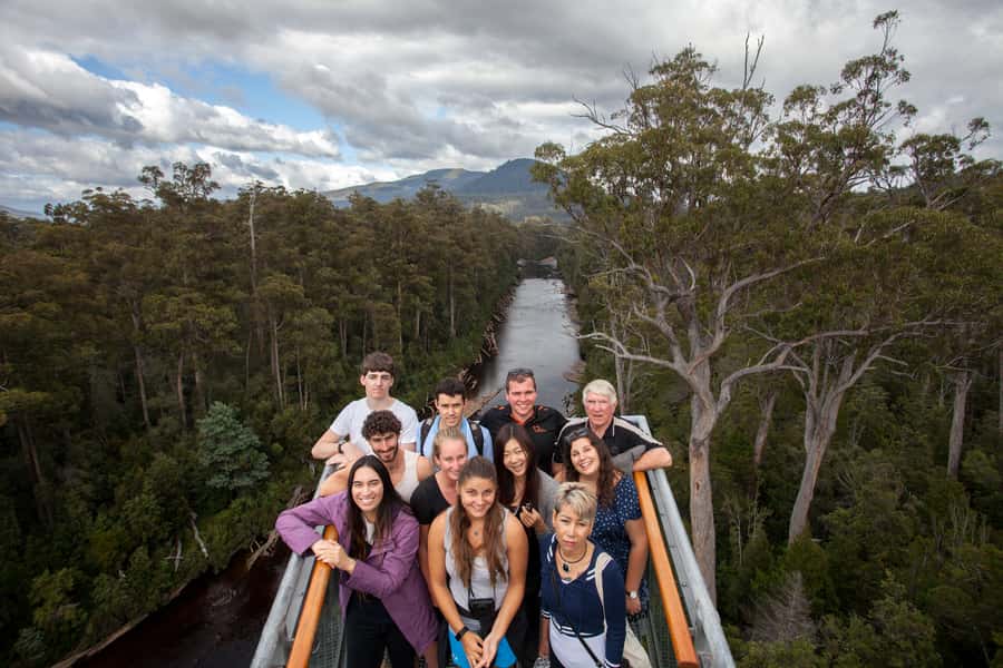 Hobart: Tahune Airwalk, Hastings Cave, Thermal Springs Tour - The quieter Huon Pine Walk