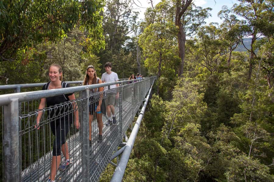Hobart: Tahune Airwalk, Hastings Cave, Thermal Springs Tour - A 28°C thermal pool after the cave