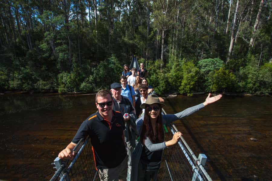 Hobart: Tahune Airwalk, Hastings Cave, Thermal Springs Tour - How the $145 price adds up