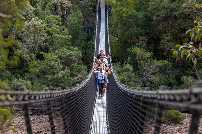 Hobart: Tahune Airwalk, Hastings Caves & Thermal Springs Pool - Why this Hobart day trip is worth considering