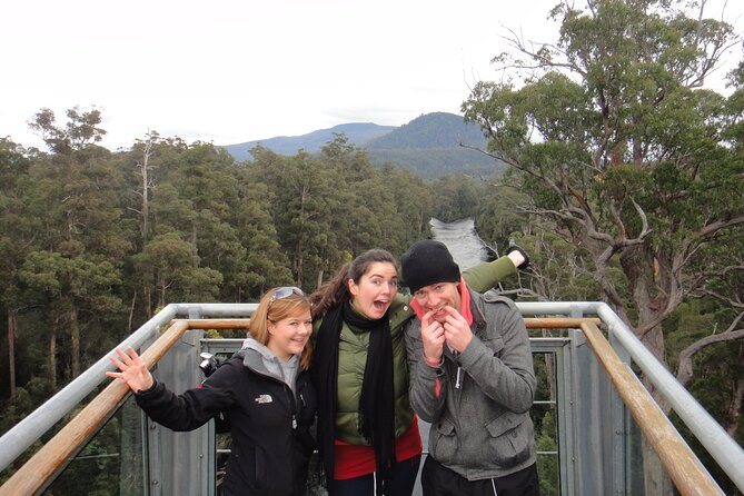 Hobart: Tahune Airwalk, Hastings Caves & Thermal Springs Pool - Tahune Airwalk: forest views from 40 metres up