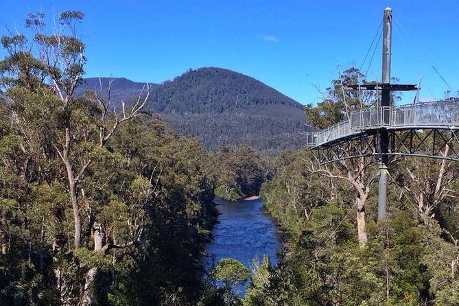 Hobart: Tahune Airwalk, Hastings Caves & Thermal Springs Pool - The thermal pool is pleasant but not the main event
