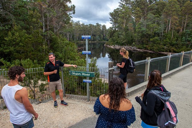 Hobart: Tahune Airwalk, Hastings Caves & Thermal Springs Pool - A full day with a small-group feel