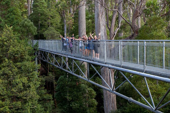 Hobart: Tahune Airwalk, Hastings Caves & Thermal Springs Pool - Fitness, clothing, and family suitability