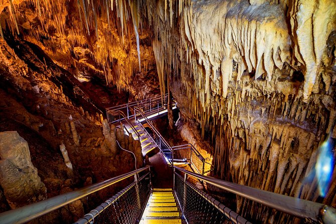 Hobart: Tahune Airwalk, Hastings Caves & Thermal Springs Pool - Leaving Hobart at 7:30 am