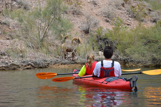 Hoover Dam & Hot Springs Kayak Tour with Lunch & Expert Guide - Starting below Hoover Dam