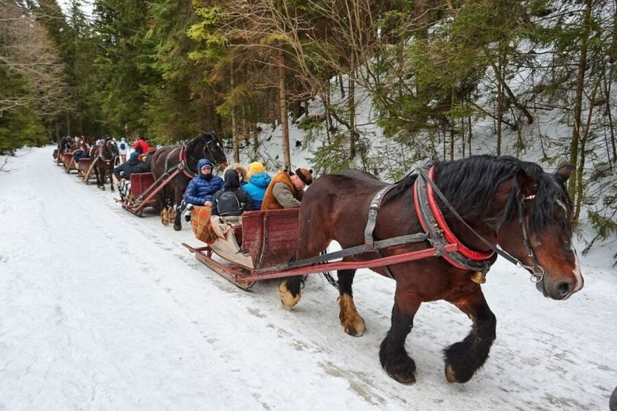 Horse Sleigh 2-3h Ride with Hot Springs or Zakopane Combos - From Chocholow houses to wooden chapels
