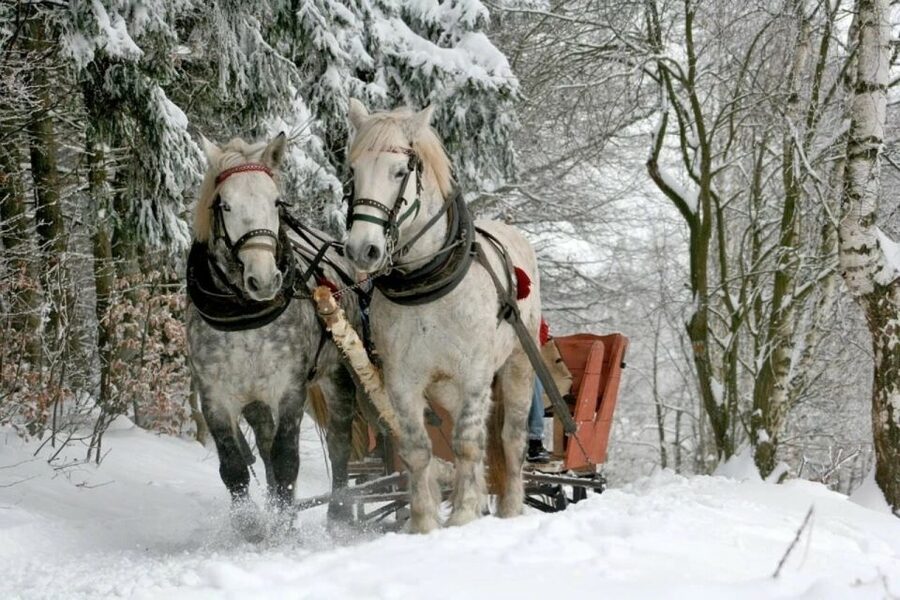 Horse Sleigh 2-3h Ride with Hot Springs or Zakopane Combos - Gubalowka’s broad Tatra views