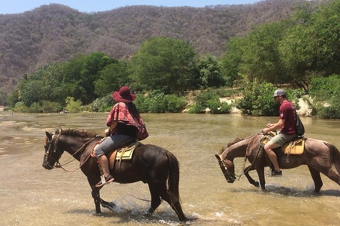 Horses on The Beach or Hot Springs - Key points to know before booking