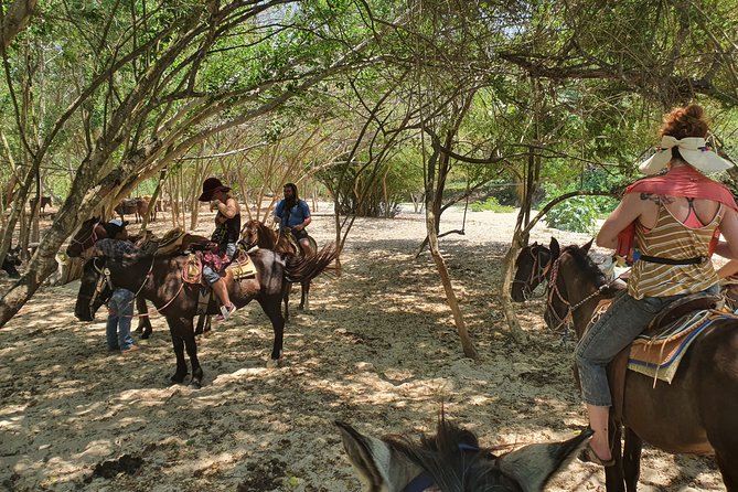 Horses on The Beach or Hot Springs - Choosing between the beach and hot springs