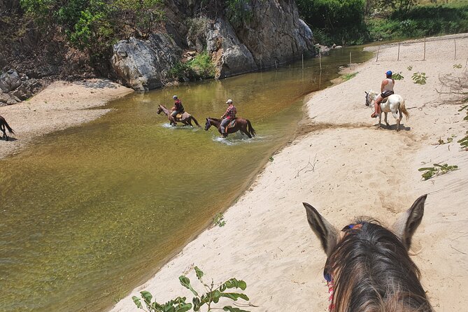 Horses on The Beach or Hot Springs - What the horseback ride feels like