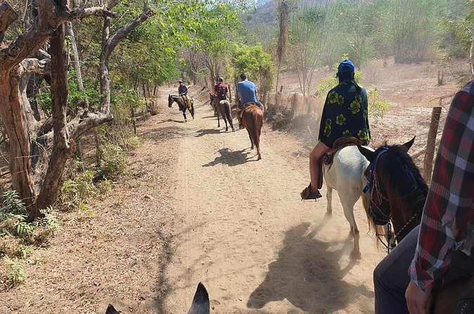 Horses on The Beach or Hot Springs - Is $164.29 a fair price?
