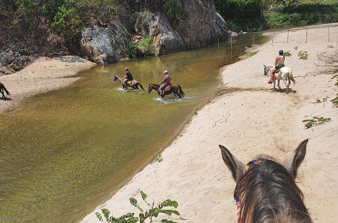 Horses on The Beach or Hot Springs - Practical details that affect your day
