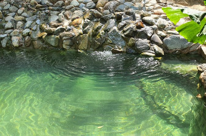 Horses on The Beach or Hot Springs - My take: choose the hot springs if the price works
