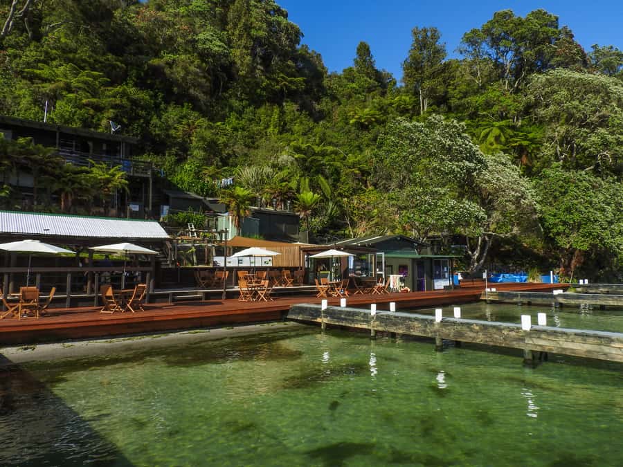 Hot Pools Kayak & Evening Barbecue - Key points at a glance