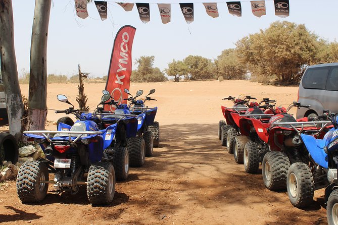Hot spring and Atlas mountains quad biking tour - Mint tea and snacks in a local home