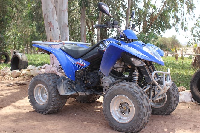 Hot spring and Atlas mountains quad biking tour - What $52.86 buys you