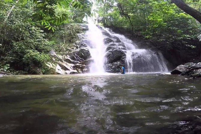 Hot Spring and Waterfall Day Tour - What to bring and how to use the time