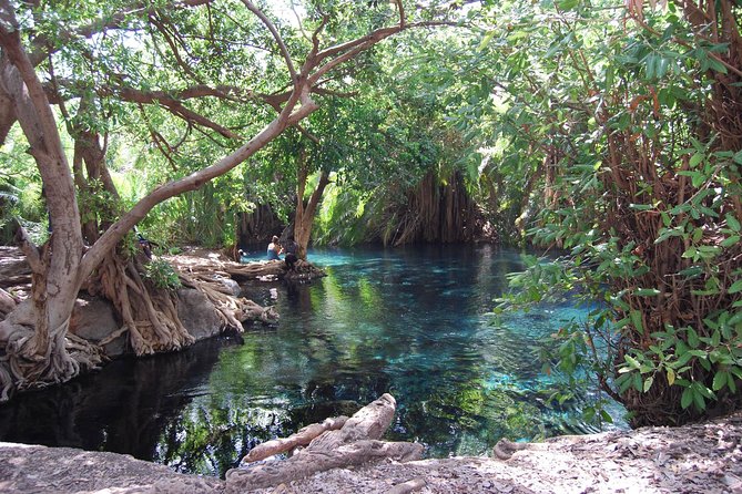 Hot Spring Day Trip - A possible Maasai hut visit