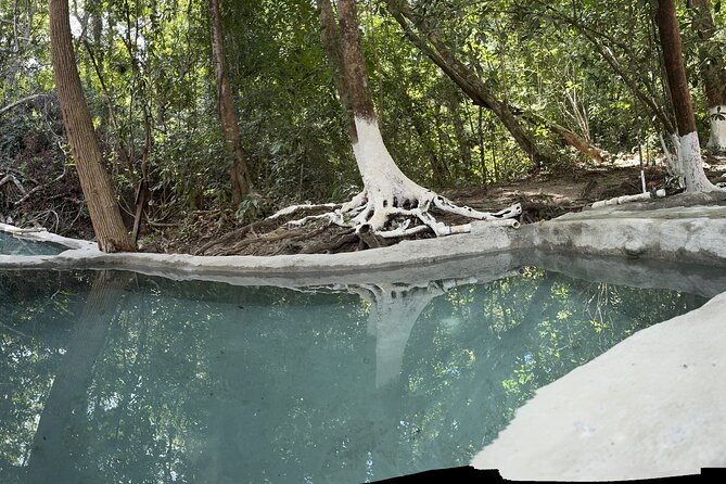Hot Springs All Inclusive Relaxing Tour - Vicente’s BBQ lunch is a real part of the attraction