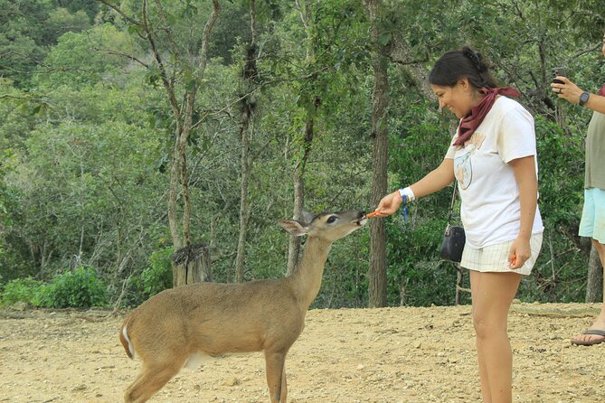Hot Springs and Villages in the Sierra Madre for 4 hours - What the village stop adds