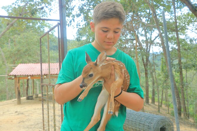Hot Springs and Villages in the Sierra Madre for 4 hours - Soaking at Uma Jorullo Paradise