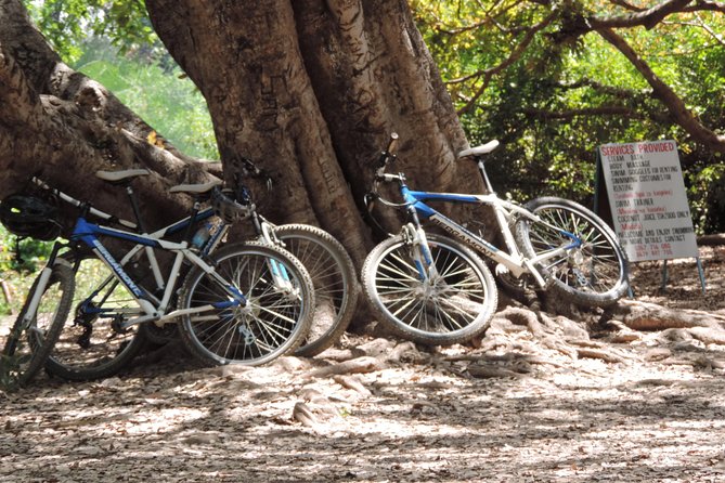 Hot Springs Bike tour - Who should book this Moshi bike tour?