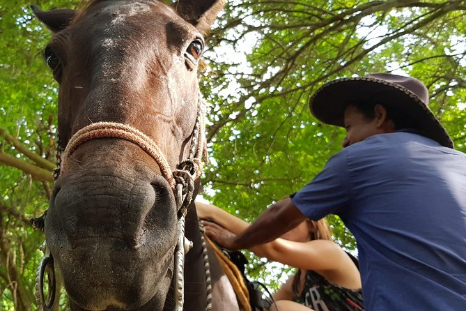 Hot Springs Horseback Riding Adventure - Timing, comfort, and practical details