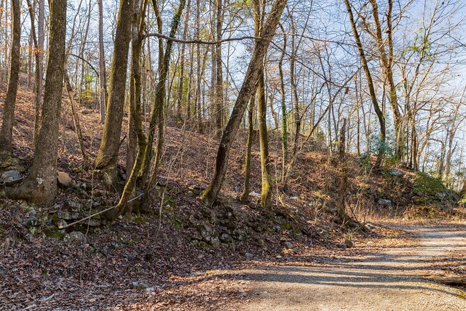 Hot Springs National Park Self Guided Audio Tour - Climb to Hot Springs Mountain Tower