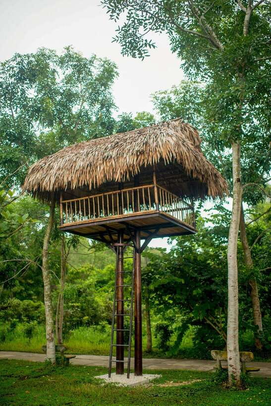 Hue: Full-day Nature’s Bliss From Hot Springs To Zip Line - Who will enjoy this Hue day trip