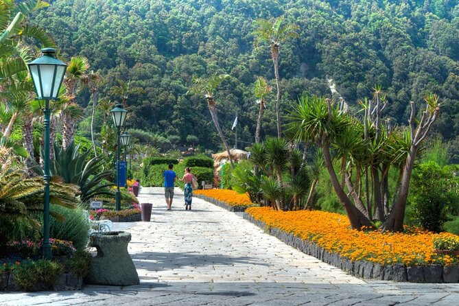 Ischia : Thermal Park Poseidon Gardens Entrance Ticket - Is the $67.36 Price Good Value?