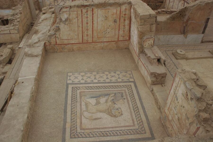 Istanbul: 8-Day Cappadocia, Ephesus, Konya, Pamukkale Tour - Cappadocia, cave hotels, and the central route