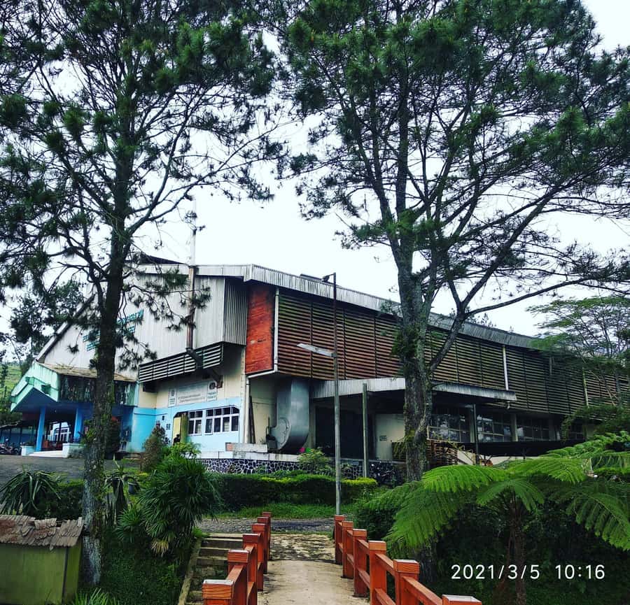 Jakarta: Volcano, Hot Spring, Tea, Rice Fields, &Coffee tour - Key points before you book