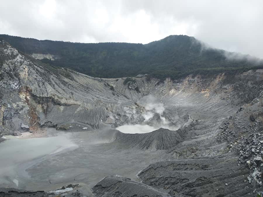 Jakarta: Volcano, Hot Spring, Tea, Rice Fields, &Coffee tour - Why this day trip works from Jakarta